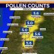 Bend, OR: Today's Pollen Count + Allergy Tips | Living in Oregon: Moving Tips, Cost of Living & Best Cities