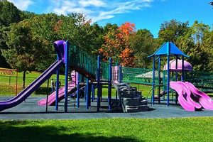 Fun at Oregon Ridge Park Playground: A Kid's Paradise | Living in Oregon: Moving Tips, Cost of Living & Best Cities