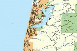 Explore Lincoln City, Oregon: Your City Map Guide | Living in Oregon: Moving Tips, Cost of Living & Best Cities