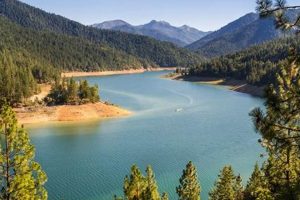 Discover: Sunniest Cities in Oregon Guide (2024) | Living in Oregon: Moving Tips, Cost of Living & Best Cities