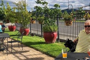 Top Rated: Best Restaurants Medford, Oregon Guide Living in Oregon: Moving Tips, Cost of Living & Best Cities Top Rated: Best Restaurants Medford, Oregon Guide | Living in Oregon: Moving Tips, Cost of Living & Best Cities