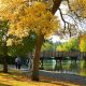 Visit Drake Park Bend, Oregon: Your Ultimate Guide | Living in Oregon: Moving Tips, Cost of Living & Best Cities