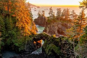 Find the Best Oregon Coast Accommodations: Your Guide + Tips! | Living in Oregon: Moving Tips, Cost of Living & Best Cities