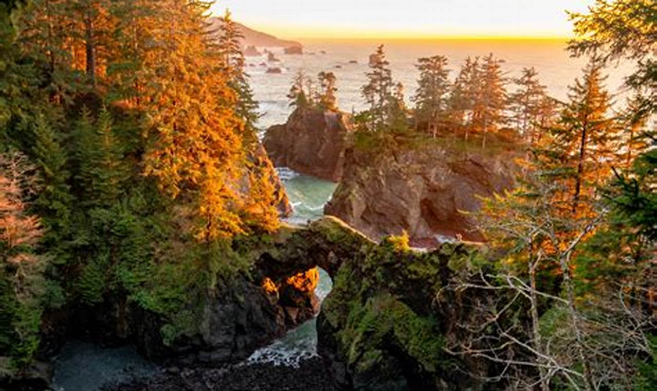 Find the Best Oregon Coast Accommodations: Your Guide + Tips! Living in Oregon: Moving Tips, Cost of Living & Best Cities Find the Best Oregon Coast Accommodations: Your Guide + Tips! | Living in Oregon: Moving Tips, Cost of Living & Best Cities