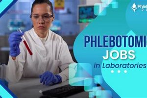 Phlebotomy Jobs Salem Oregon Living in Oregon: Moving Tips, Cost of Living & Best Cities Phlebotomy Jobs Salem Oregon | Living in Oregon: Moving Tips, Cost of Living & Best Cities