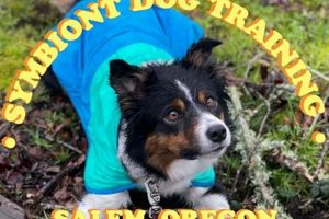 Dog Training Salem Oregon | Living in Oregon: Moving Tips, Cost of Living & Best Cities
