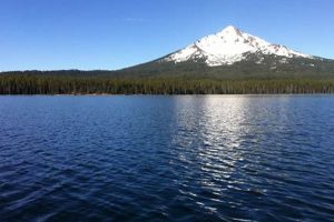 Explore 4 Mile Lake Oregon: A Klamath County Gem | Living in Oregon: Moving Tips, Cost of Living & Best Cities