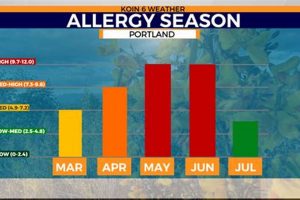 Allergy Forecast Portland Oregon Living in Oregon: Moving Tips, Cost of Living & Best Cities Allergy Forecast Portland Oregon | Living in Oregon: Moving Tips, Cost of Living & Best Cities
