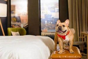 Find: Pet-Friendly Hotels in Brookings, OR [Guide] | Living in Oregon: Moving Tips, Cost of Living & Best Cities