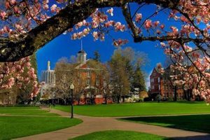 Time In Salem Oregon Now Living in Oregon: Moving Tips, Cost of Living & Best Cities Time In Salem Oregon Now | Living in Oregon: Moving Tips, Cost of Living & Best Cities