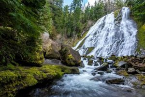Best Hiking Near Eugene Oregon: Trails & Tips | Living in Oregon: Moving Tips, Cost of Living & Best Cities