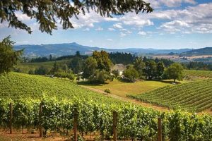 Portland Oregon To Willamette Valley | Living in Oregon: Moving Tips, Cost of Living & Best Cities