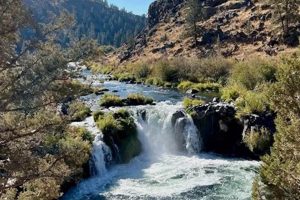 Explore Roats Water Bend, Oregon: A Natural Wonder Living in Oregon: Moving Tips, Cost of Living & Best Cities Explore Roats Water Bend, Oregon: A Natural Wonder | Living in Oregon: Moving Tips, Cost of Living & Best Cities