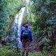 Best Eugene Oregon Hikes: Trails & Guide [Year] | Living in Oregon: Moving Tips, Cost of Living & Best Cities