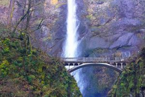 Waterfall Hikes Near Portland Oregon | Living in Oregon: Moving Tips, Cost of Living & Best Cities