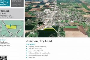 Living in Junction City, OR 97448: Guide &amp; More | Living in Oregon: Moving Tips, Cost of Living & Best Cities
