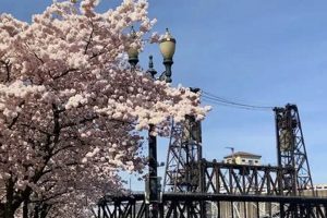 Guide: One Day in Portland, OR (Best Sights & Bites) | Living in Oregon: Moving Tips, Cost of Living & Best Cities