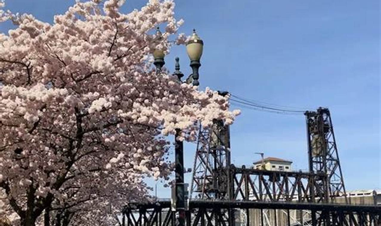 Guide: One Day in Portland, OR (Best Sights & Bites) | Living in Oregon: Moving Tips, Cost of Living & Best Cities