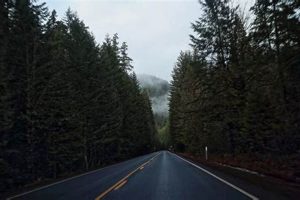 Road Trip! Portland to Eugene, Oregon Drive: Guide | Living in Oregon: Moving Tips, Cost of Living & Best Cities