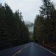 Road Trip! Portland to Eugene, Oregon Drive: Guide | Living in Oregon: Moving Tips, Cost of Living & Best Cities