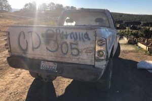 High-Paying Pot Jobs Oregon: Your Cannabis Career Awaits | Living in Oregon: Moving Tips, Cost of Living & Best Cities