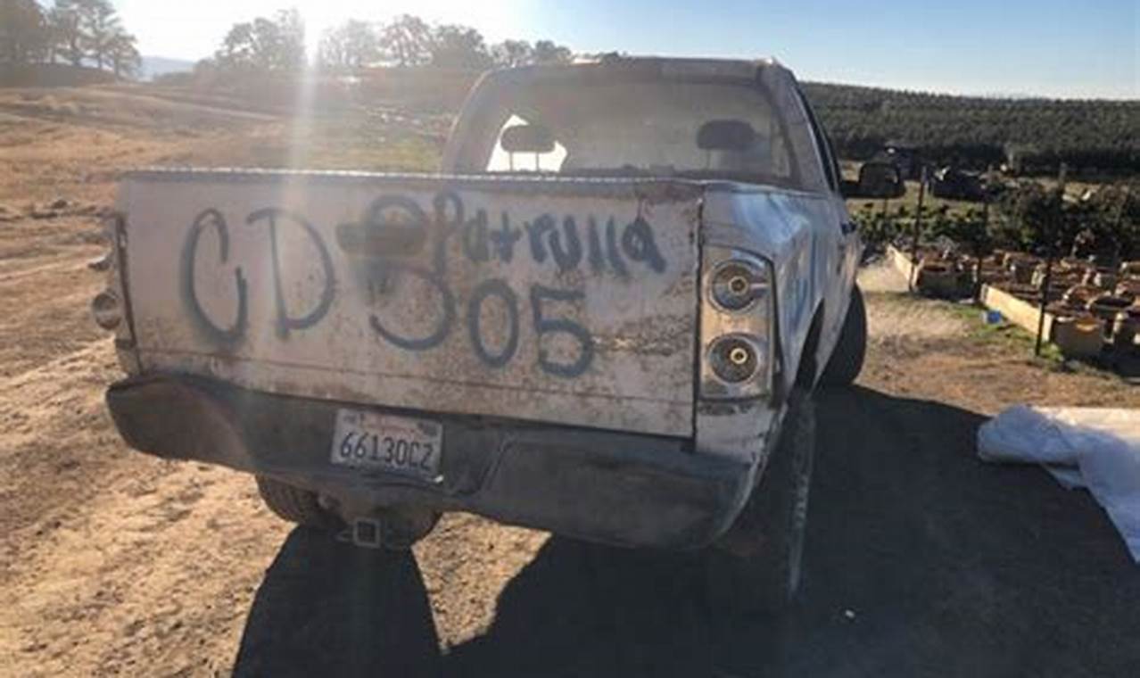 High-Paying Pot Jobs Oregon: Your Cannabis Career Awaits | Living in Oregon: Moving Tips, Cost of Living & Best Cities