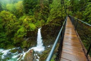 Lincoln City, Oregon: Fun Things To Do + Activities | Living in Oregon: Moving Tips, Cost of Living & Best Cities