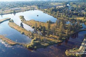 Visit Cheadle Lake Lebanon Oregon: Your Guide &amp; More! | Living in Oregon: Moving Tips, Cost of Living & Best Cities