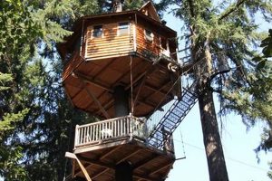 Oregon Treehouse Hotels: Unique Stays & Escapes | Living in Oregon: Moving Tips, Cost of Living & Best Cities