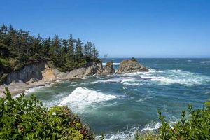 Drive Eugene to Coos Bay Oregon: Route & Tips | Living in Oregon: Moving Tips, Cost of Living & Best Cities