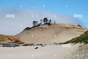 Explore the Pacific City, Oregon Dunes: A Coastal Paradise | Living in Oregon: Moving Tips, Cost of Living & Best Cities