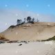 Explore the Pacific City, Oregon Dunes: A Coastal Paradise | Living in Oregon: Moving Tips, Cost of Living & Best Cities