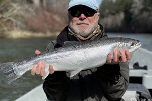 Catching Steelhead Near Eugene, Oregon: A Complete Guide | Living in Oregon: Moving Tips, Cost of Living & Best Cities