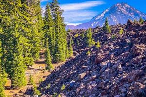 Unlock Redmond Oregon ParentVUE: Guide & Access | Living in Oregon: Moving Tips, Cost of Living & Best Cities