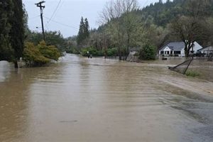 Prevent Flooding: Eugene, Oregon - Safety Tips | Living in Oregon: Moving Tips, Cost of Living & Best Cities