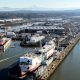 Discover Swan Island Portland Oregon: Industry & More | Living in Oregon: Moving Tips, Cost of Living & Best Cities