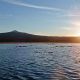 Explore Davis Lake Oregon: A Volcanic Wonder | Living in Oregon: Moving Tips, Cost of Living & Best Cities