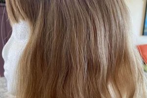 Wigs Portland Oregon | Living in Oregon: Moving Tips, Cost of Living & Best Cities