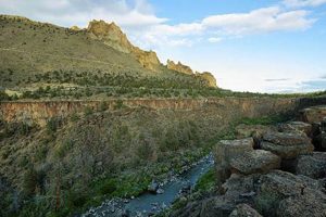 Explore Bush Bend Oregon: Nature's Gem in Oregon | Living in Oregon: Moving Tips, Cost of Living & Best Cities