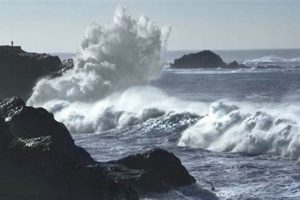 Pacific City Oregon Tides: Your Coastal Guide | Living in Oregon: Moving Tips, Cost of Living & Best Cities