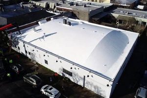 Top Commercial Roofing Portland Oregon Experts + Services | Living in Oregon: Moving Tips, Cost of Living & Best Cities