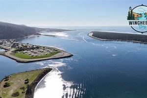 Your Guide to Winchester Bay Hotels, Oregon Getaways Living in Oregon: Moving Tips, Cost of Living & Best Cities Your Guide to Winchester Bay Hotels, Oregon Getaways | Living in Oregon: Moving Tips, Cost of Living & Best Cities