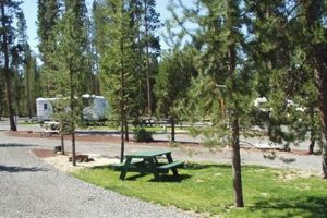 Plan Your Trip: Big Pines RV Park Oregon Getaway | Living in Oregon: Moving Tips, Cost of Living & Best Cities