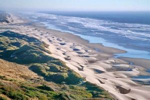 Explore Dunes City, Oregon: Sand &amp; Serenity Await | Living in Oregon: Moving Tips, Cost of Living & Best Cities