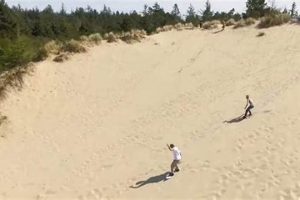 Visit Sand Master Park Florence Oregon: Fun & Adventure! | Living in Oregon: Moving Tips, Cost of Living & Best Cities
