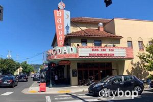 Your Guide: Hawthorne Portland Oregon Hotels & Stays Living in Oregon: Moving Tips, Cost of Living & Best Cities Your Guide: Hawthorne Portland Oregon Hotels & Stays | Living in Oregon: Moving Tips, Cost of Living & Best Cities