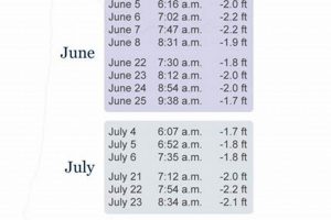 Lincoln City, OR Tide Schedule: Your Guide &amp; Times | Living in Oregon: Moving Tips, Cost of Living & Best Cities