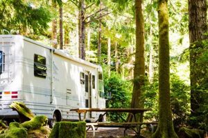 Find RV Parks in Forest Grove, OR: Camp Your Way! | Living in Oregon: Moving Tips, Cost of Living & Best Cities