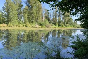 Discover Delta Ponds, Eugene Oregon: Nature's Gem! Living in Oregon: Moving Tips, Cost of Living & Best Cities Discover Delta Ponds, Eugene Oregon: Nature's Gem! | Living in Oregon: Moving Tips, Cost of Living & Best Cities