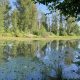Discover Delta Ponds, Eugene Oregon: Nature's Gem! | Living in Oregon: Moving Tips, Cost of Living & Best Cities